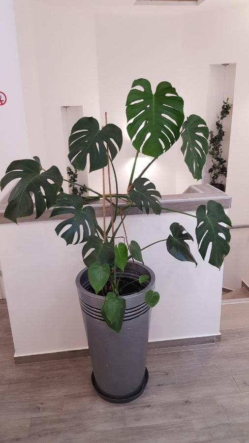 Centar Apartment *